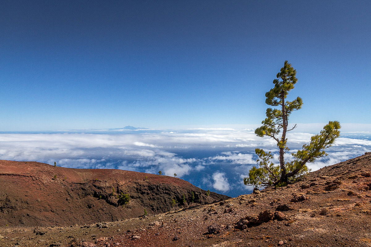 La-Palma-2