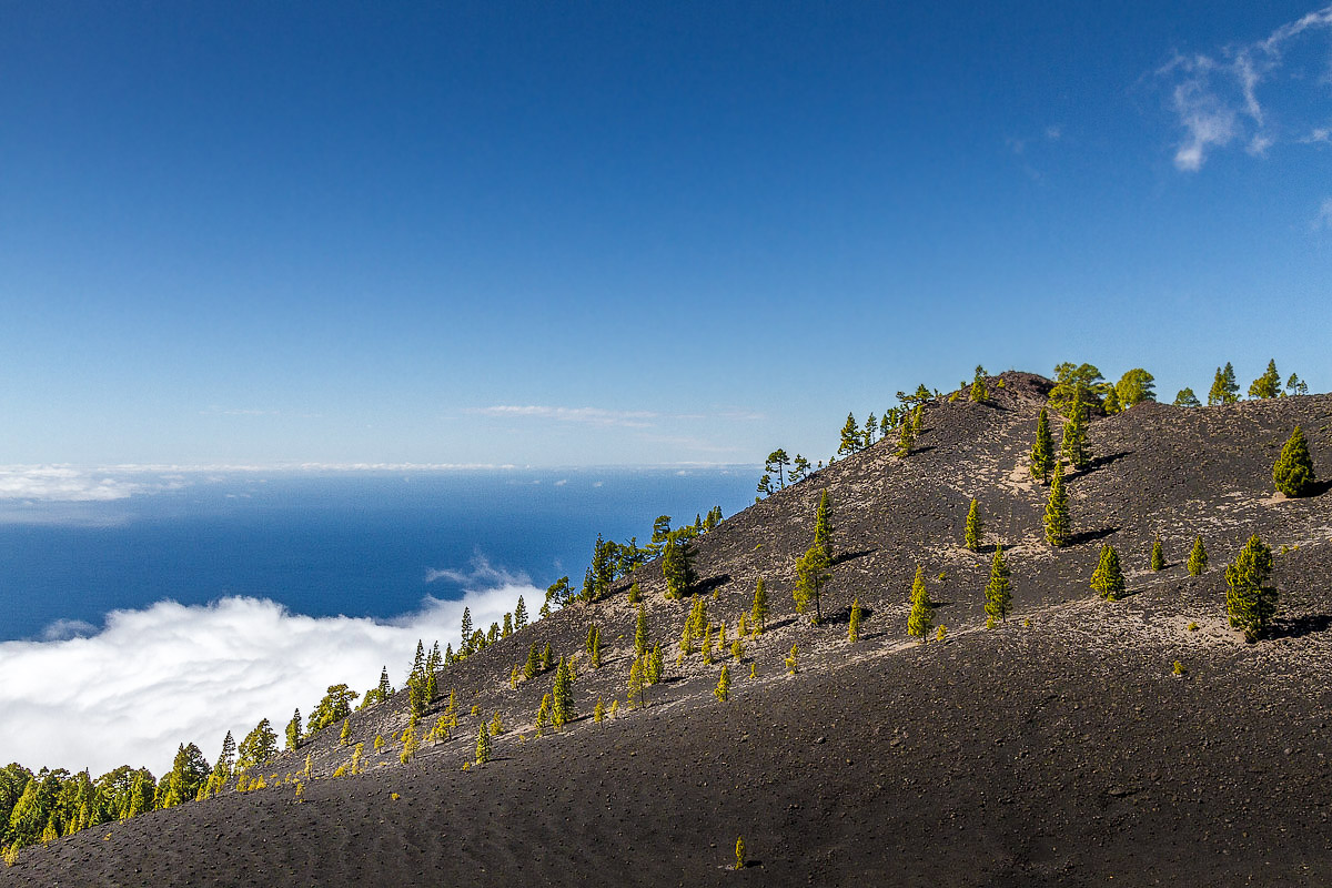 La-Palma-3